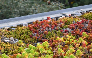 the cost of Sands green roof installation