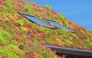 Sands living roof systems